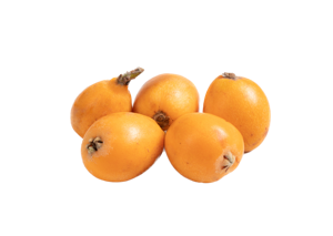 Loquart/Japanese Plum/Medlar