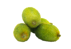 Kantola / Kakrol / Spiny Gourd