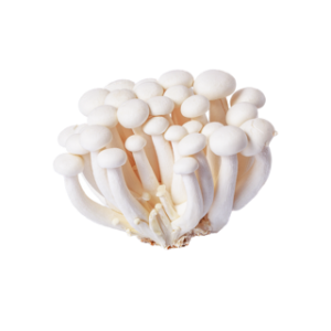 Mushroom ? Shimeji White (Clamshell)