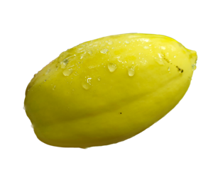 Golden Ripe Papaya (Small Box)