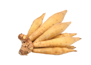 Krachai / Fingerroot