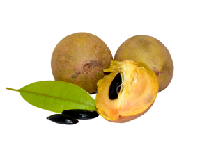 Chickoo/Sapodilla