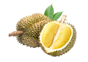 Durian Prepacked