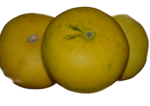 Melon ? Pakistan