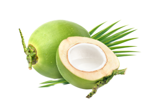 Green Coconut (Young)