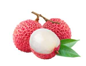 Lychee