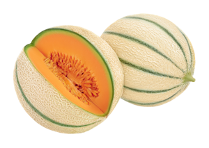 Cantaloupe Melon ? Charentais ? 6kg