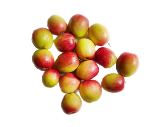 Apple Bore ? Red 4kg