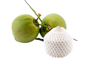 Jelly Nut Coconut / Thai Young Coconut