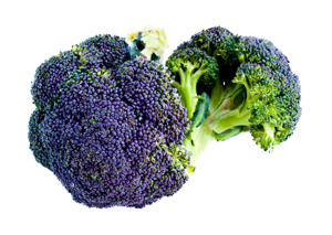 Purple Sprouting Broccoli 10 x 200 gms