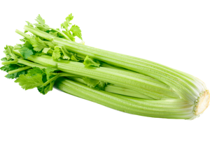 Celery