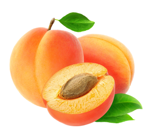 Lebanese Apricot