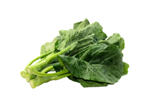 Kai-Lan / Chinese Broccoli