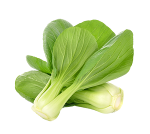 Baby Pak Choi White