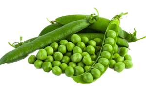 Peas Green ? Pakistan