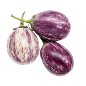 Pink Ravayya / Aubergine Baby / Round Ravayya ? Stripe