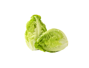 Lettuce Little Gem