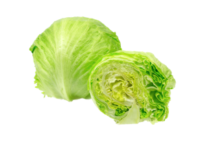 Lettuce Iceberg