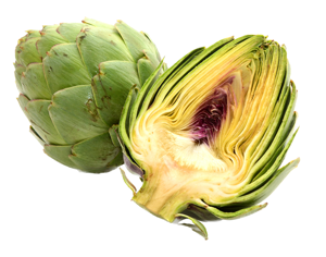 Artichoke globe