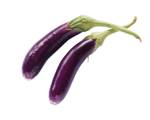 Aubergine Long Voilet