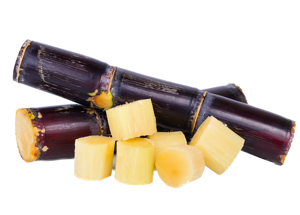 Sugarcane Stick ? Red