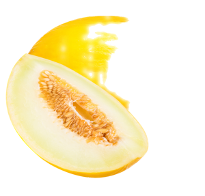 Melon ? Honeydew