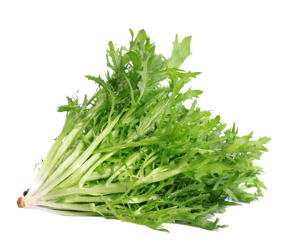 Lettuce Endive