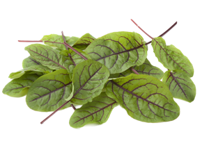 Red Sorrel Leaves / Gongura