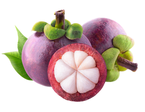 Mangosteen