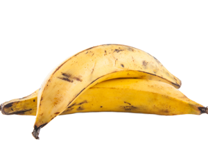 Plantain Yellow