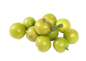 Greengage / Gage Plum