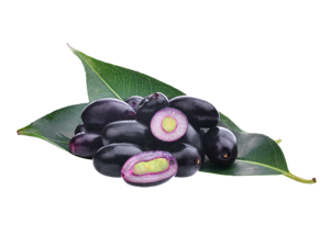 Java Plum / Indian Blackberry / Jamun ? Black
