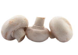 Mushroom ? Closedcup