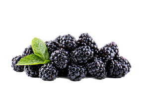 Blackberries
