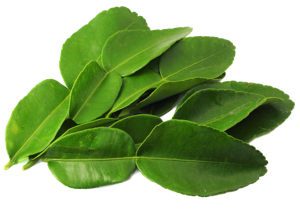 Lime Leaves (Kaffir) Frozen