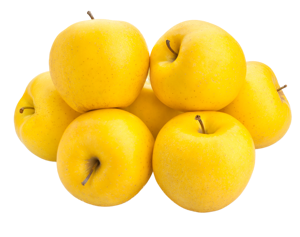 Apple Golden