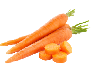 Carrot